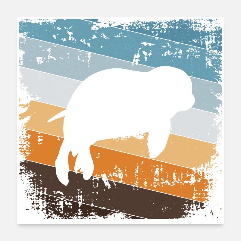 Seehund Robbe Poster 60x60 cm