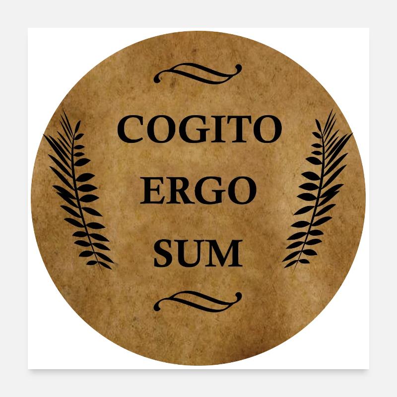 Cogito Ergo Sum Poster 60x60 cm