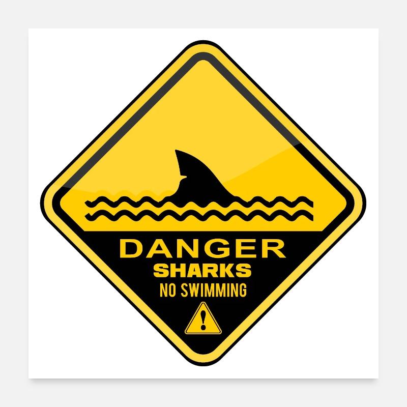 Danger Requins Pas de natation Poster 60 x 60 cm