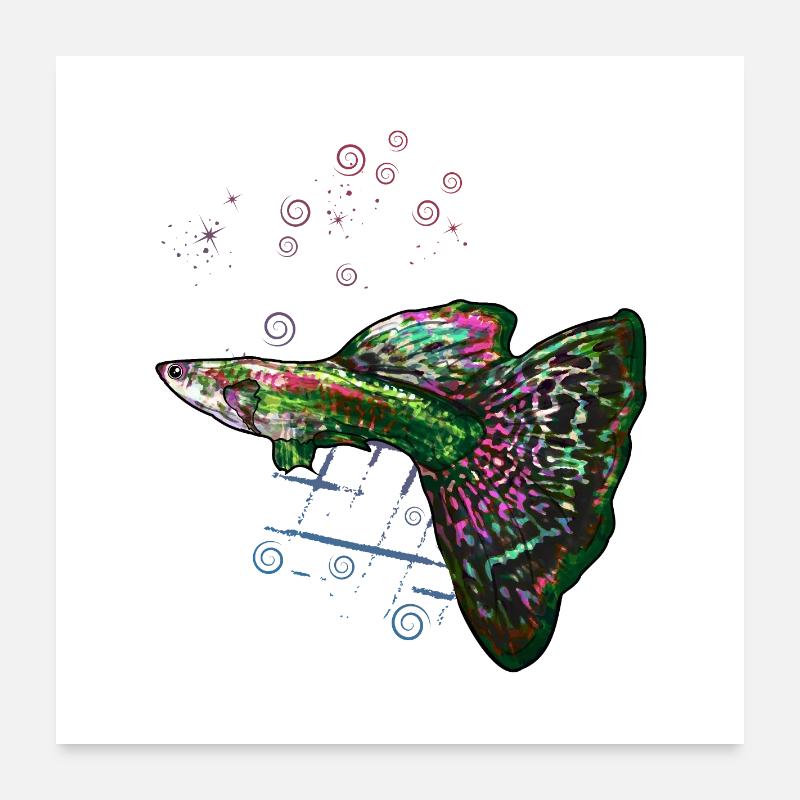 Guppy Anfängerfisch Aquarium Spaß - Poster 60x60 cm - Weiß