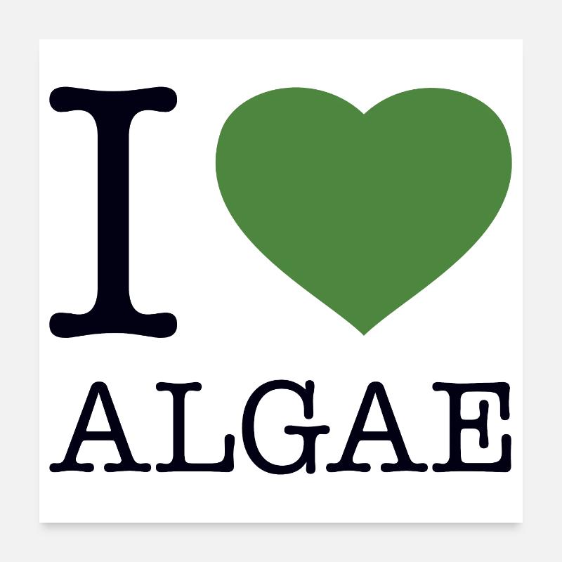 I LOVE ALGAE Algen Poster 60x60 cm