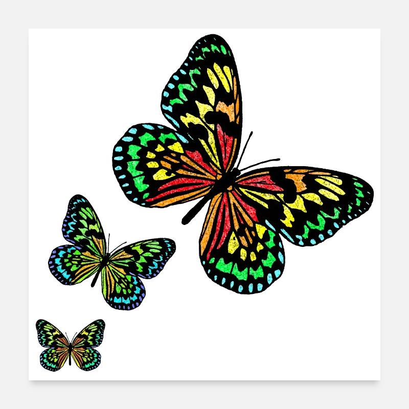 3 Butterflies R6Z - Poster 60x60 cm - Weiß