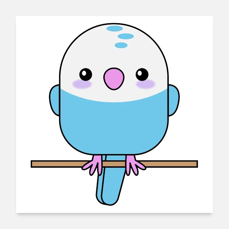 Perruche mignonne, perroquet, oiseau Poster 60 x 60 cm