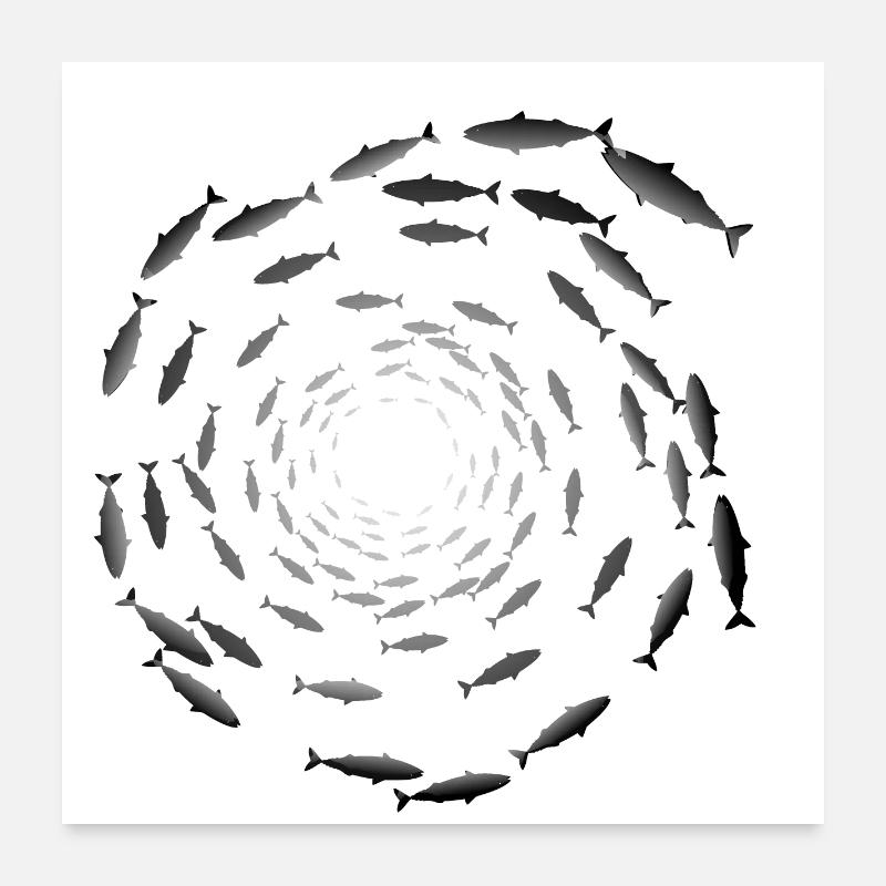 Fischschwarm Poster 60x60 cm