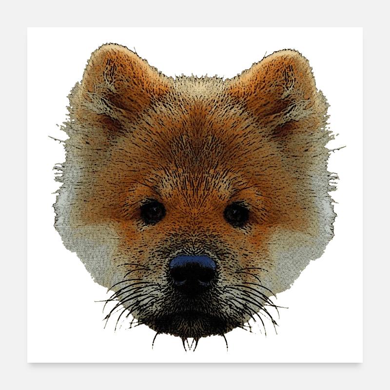 sweater mit hündchen, chow chow welpe Poster 60x60 cm
