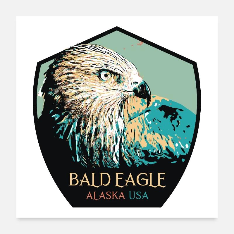 Alaskan Bald Eagle Portrait Poster 24" x 24" (60x60 cm)