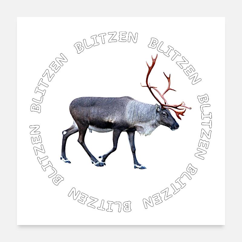 BLITZEN Poster 60x60 cm