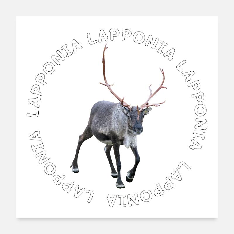LAPPONIA Poster 24" x 24" (60x60 cm)