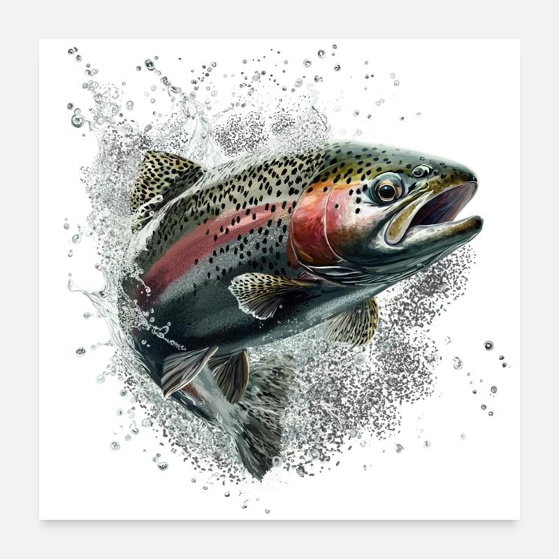 Forelle Poster 60x60 cm