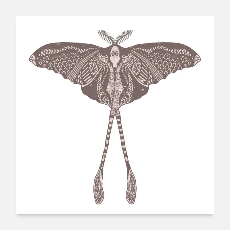 Papillon de lune chinois - Luna Moon Moth Poster 60 x 60 cm