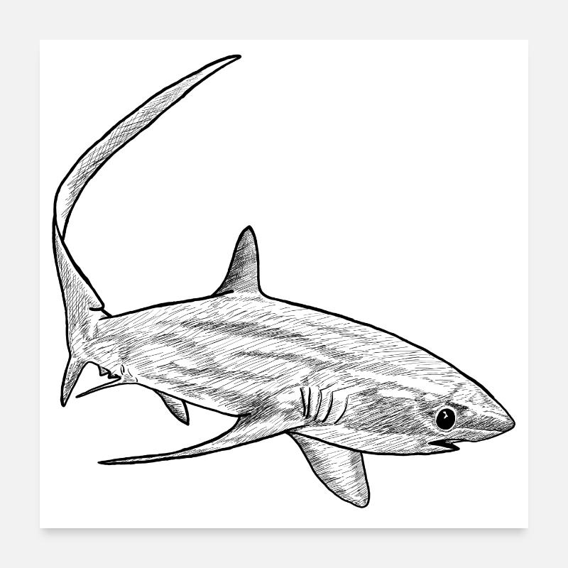 Fuchshai - Poster 60x60 cm - Weiß