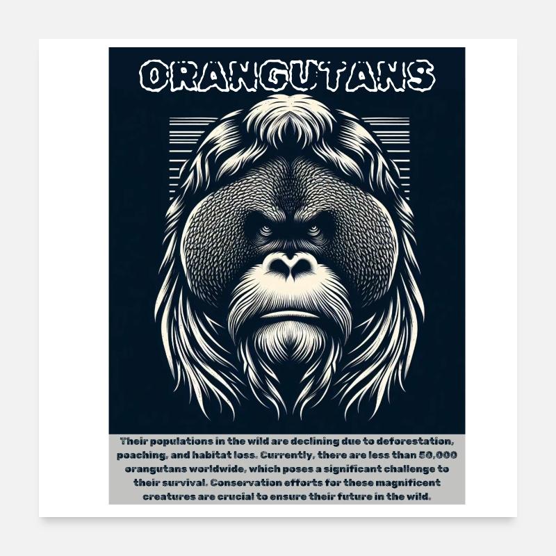 Orangutans Poster 24" x 24" (60x60 cm)