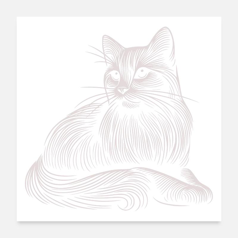 Weiße Katze Muster Leichte Striche Poster 60x60 cm
