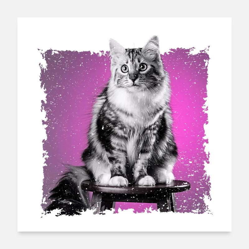 Cat Sitting on Stool | frayed edge Poster 24" x 24" (60x60 cm)