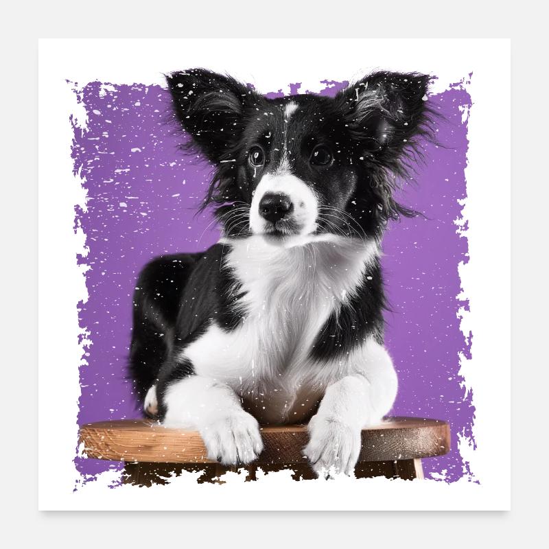Hund sitzt auf Hocker Poster 60x60 cm