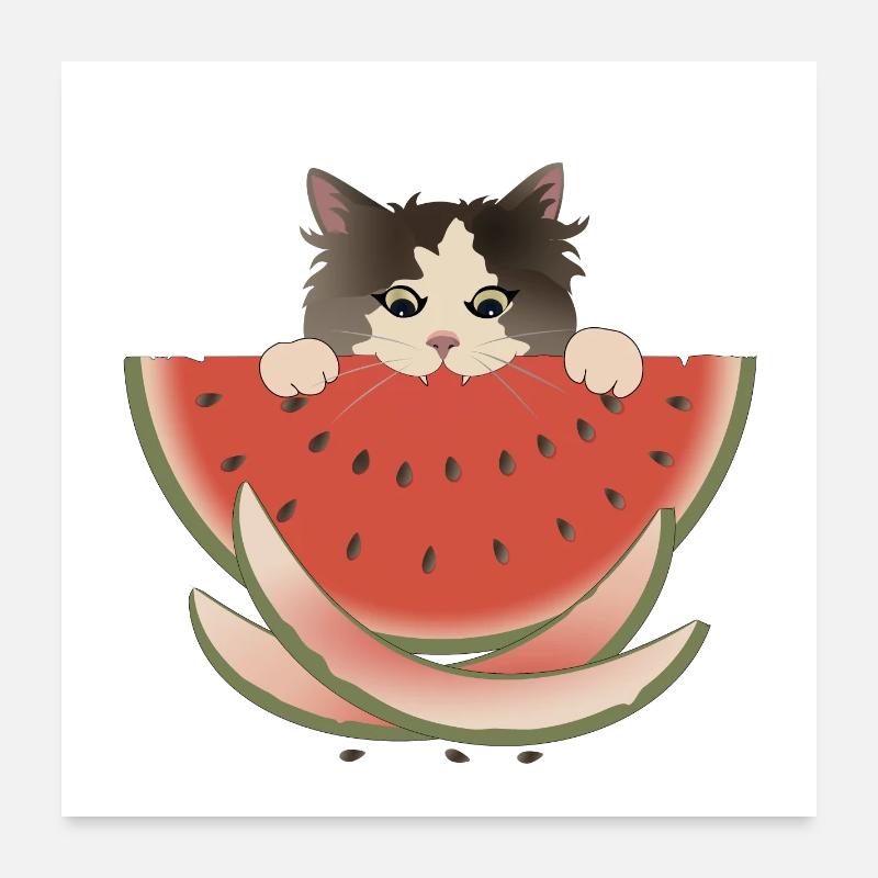 Délice de pastèque Chat Poster 60 x 60 cm