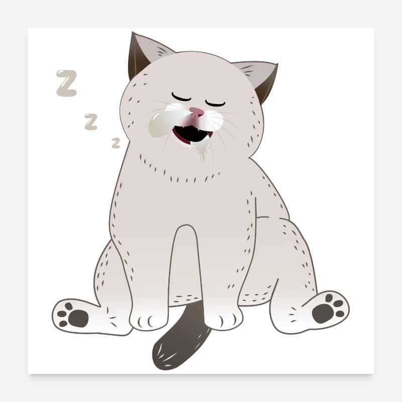 schlafende Katze Poster 60x60 cm