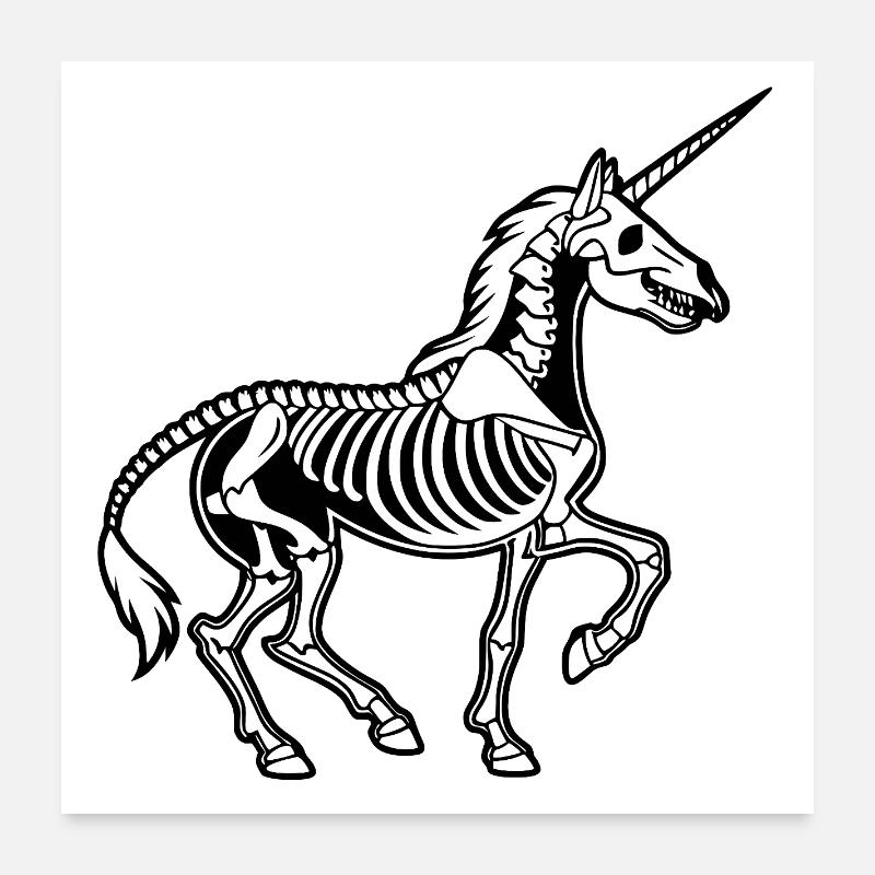 Squelette de licorne - Anatomie vectorielle noire Poster 60 x 60 cm