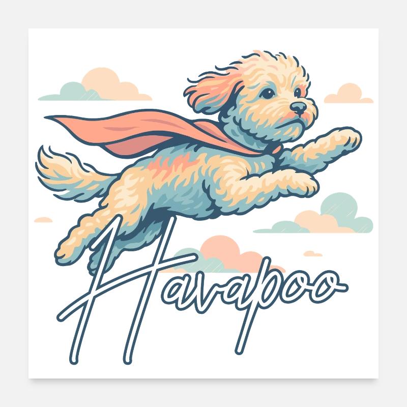 Super chien Havapoo Cape Cape cadeau Poster 60 x 60 cm