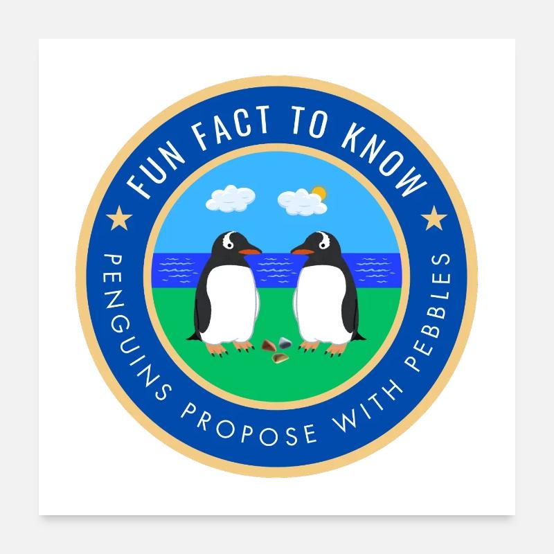 Penguins propose with pebbles Poster 24" x 24" (60x60 cm)