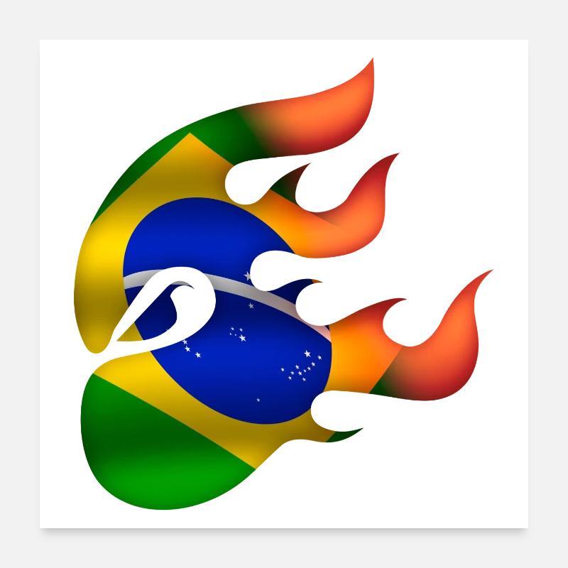 Drapeau du Brésil - Brésil - Ninja Poster 60 x 60 cm