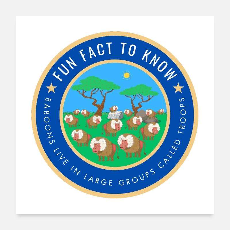 Baboons live in large groups called troops Poster 24" x 24" (60x60 cm)