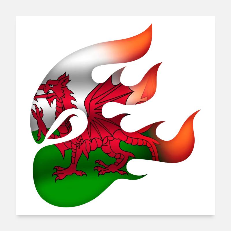 Drapeau du Pays de Galles - Gallois - Ninja Poster 60 x 60 cm