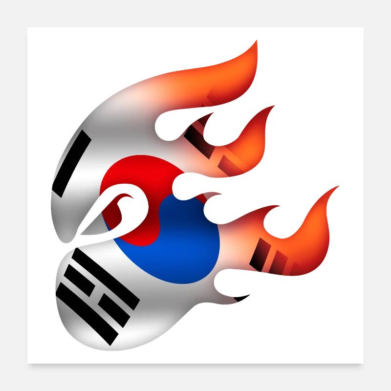 Drapeau coréen - Corée - Ninja Poster 60 x 60 cm