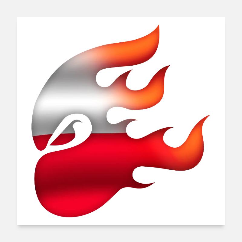 Drapeau de la Pologne - Pologne - Ninja Poster 60 x 60 cm