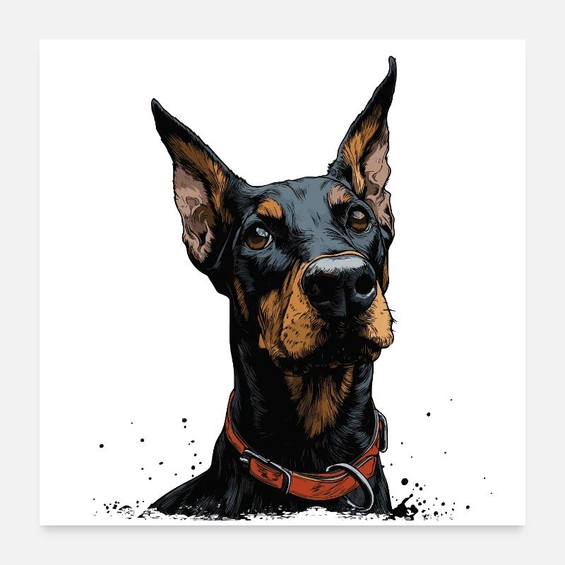 Cool Doberman Poster 24" x 24" (60x60 cm)