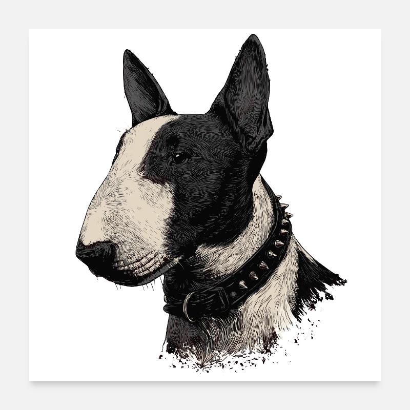 Bullterrier  - Poster 60x60 cm - Weiß