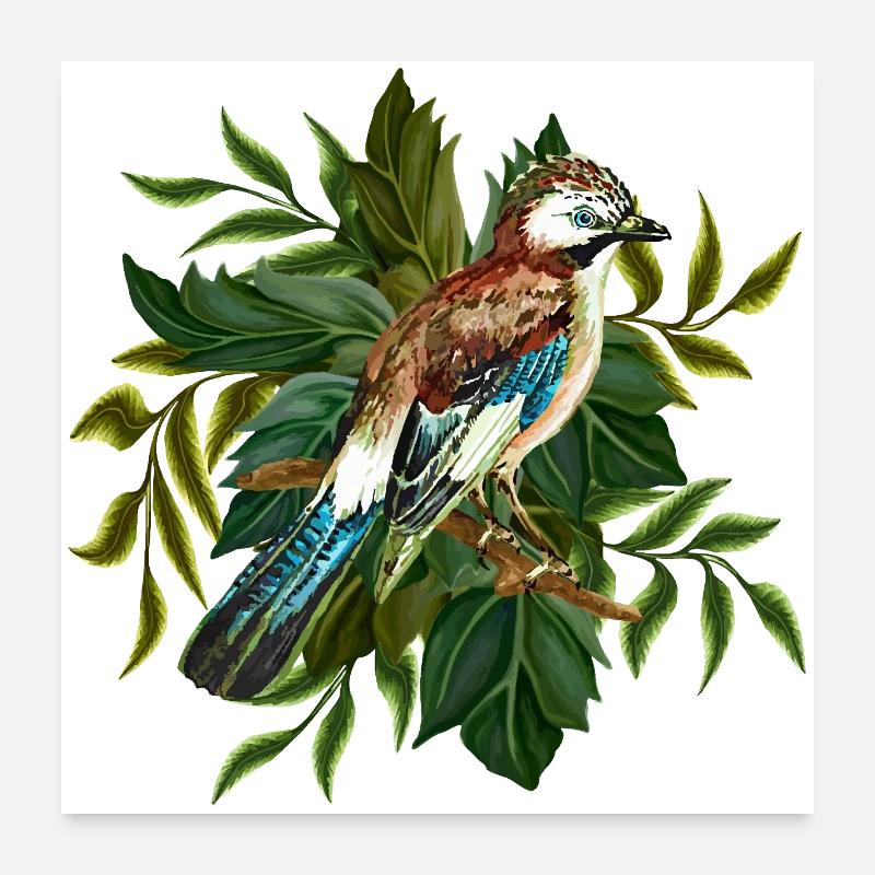 Oiseau coloré Poster 60 x 60 cm