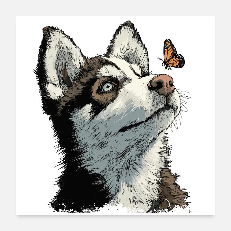 Chiot husky curieux et papillon Poster 60 x 60 cm