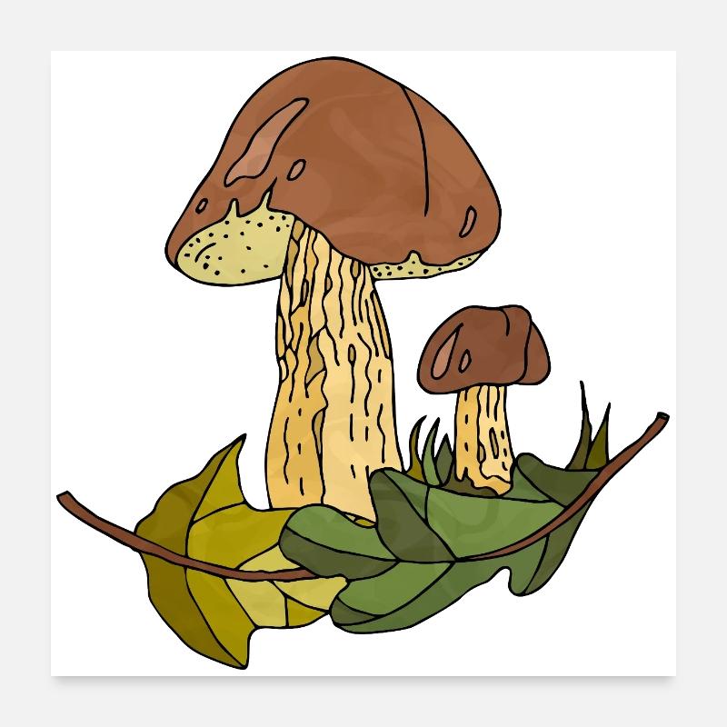 fungi Poster 24" x 24" (60x60 cm)