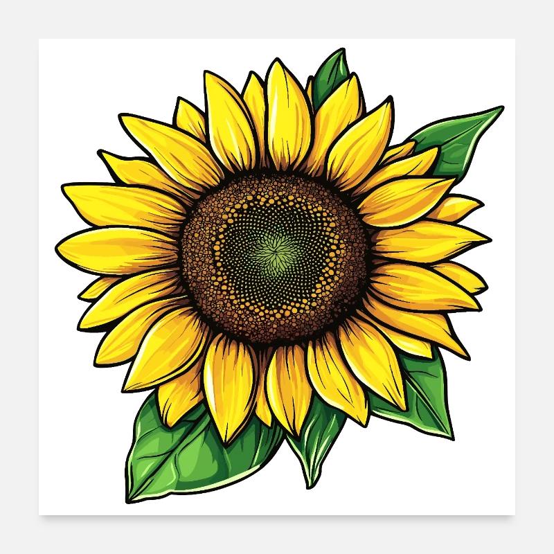 Sunflower Vector Graphic Illustration Poster 24" x 24" (60x60 cm)