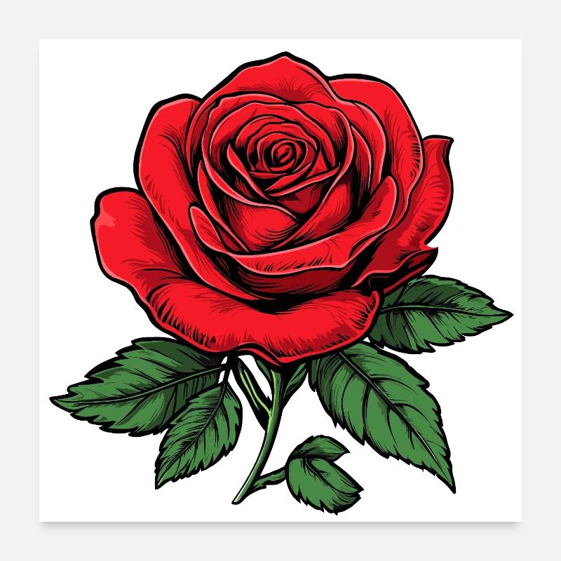 Rose Poster 60 x 60 cm