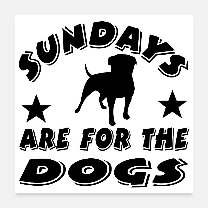 Hunde - Poster 60x60 cm - Weiß