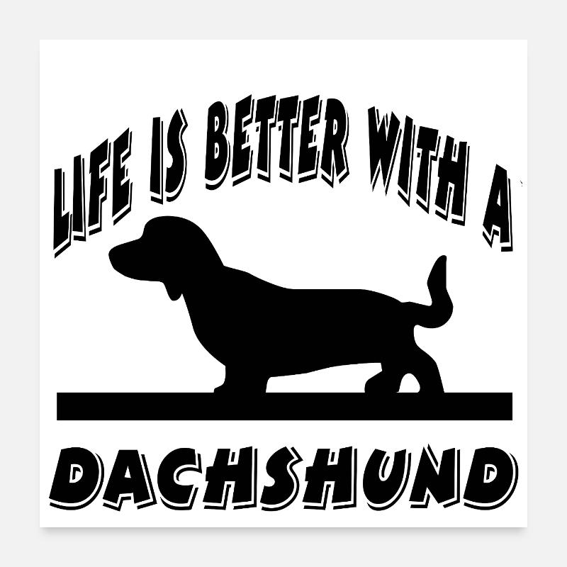 Dackel Poster 60x60 cm