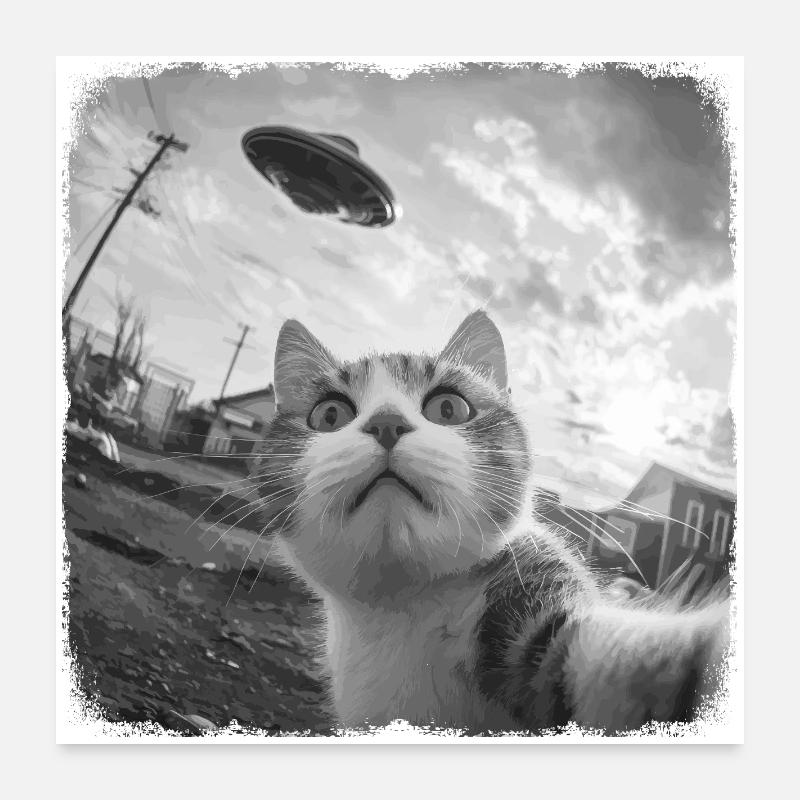 Gatto e UFO Poster 60x60 cm
