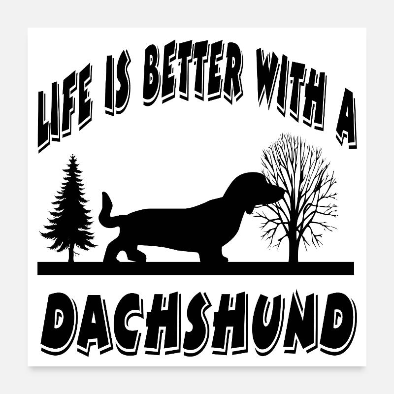 Dachshund Poster 24" x 24" (60x60 cm)