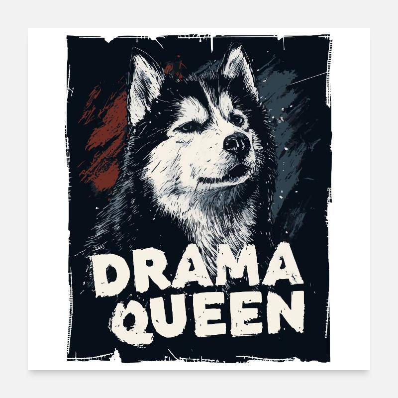 Reine du drame husky Poster 60 x 60 cm