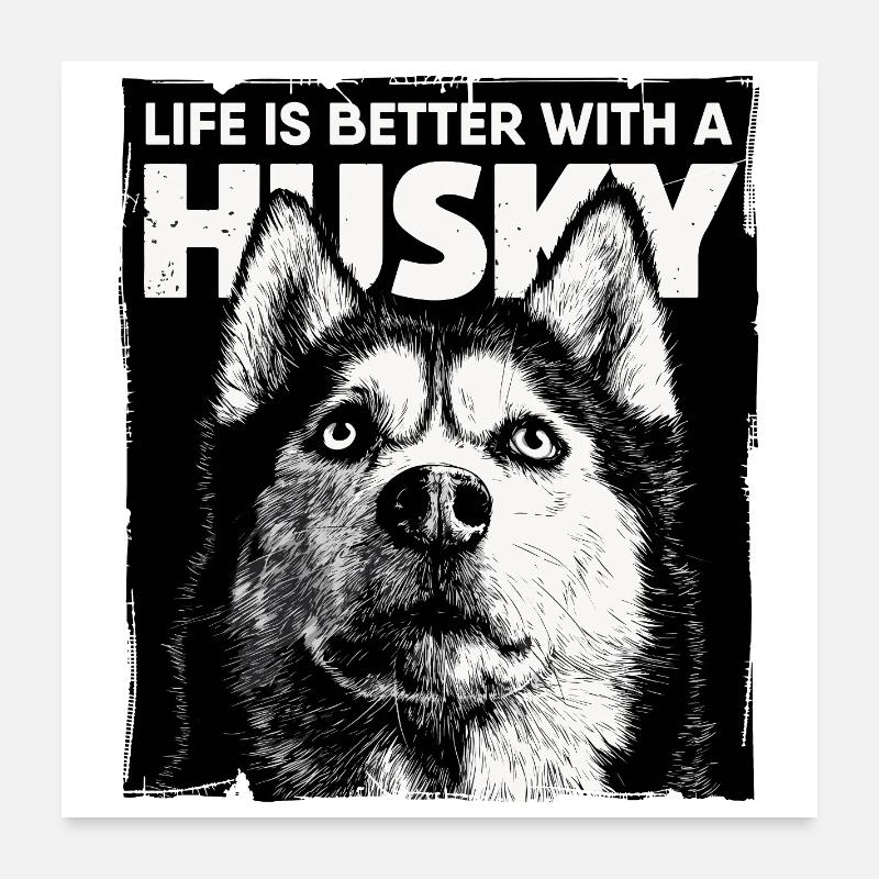 Life is better with a Husky Poster 60x60 cm