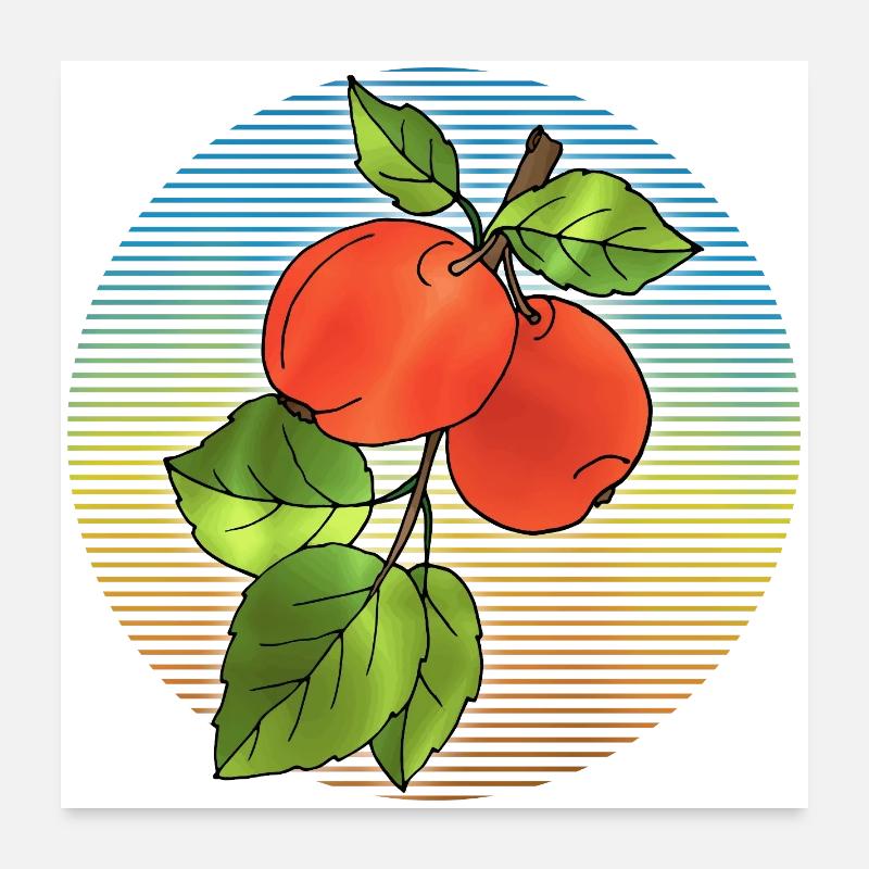 Äpfel - Poster 60x60 cm - Weiß
