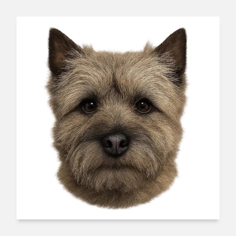 Tête de terrier Poster 60 x 60 cm