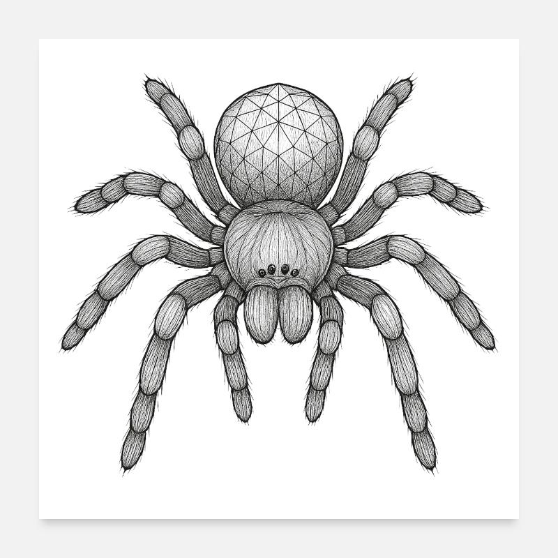Geometric Tarantula Icon Poster 24" x 24" (60x60 cm)