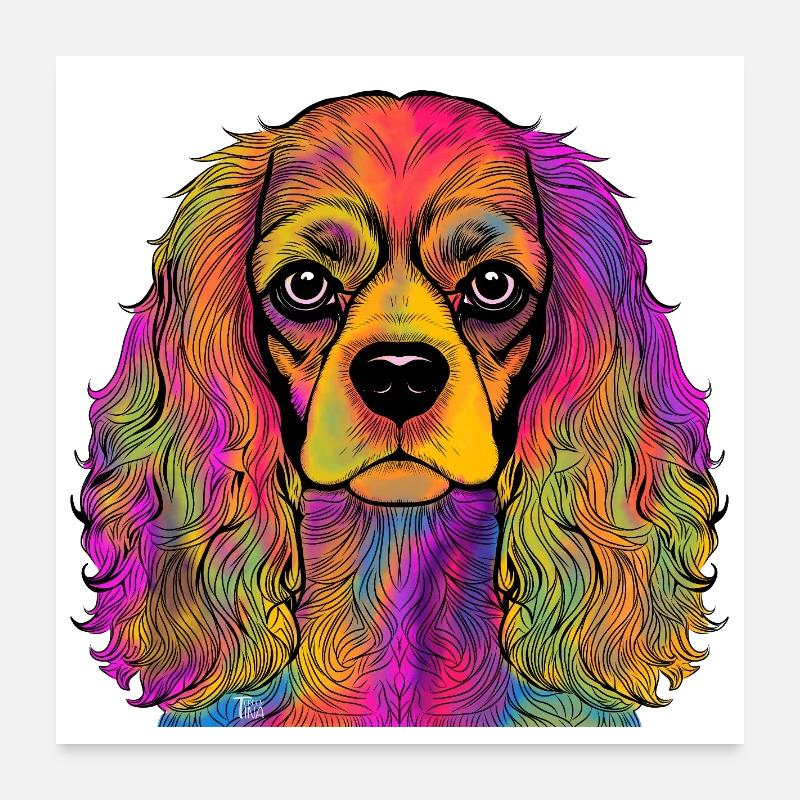 Cavalier King Charles Spaniel Poster 60 x 60 cm