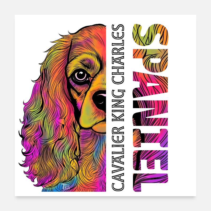 Cavalier King Charles Spaniel Poster 60 x 60 cm
