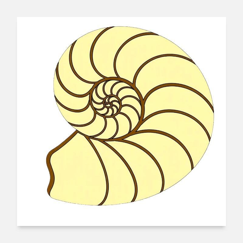 Ammunit Drawing Poster 24" x 24" (60x60 cm)