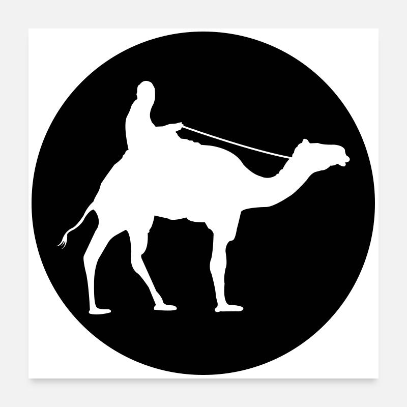 Camel Riding Poster 24" x 24" (60x60 cm)