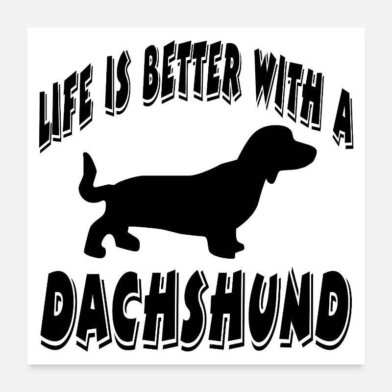 Dackel Poster 60x60 cm